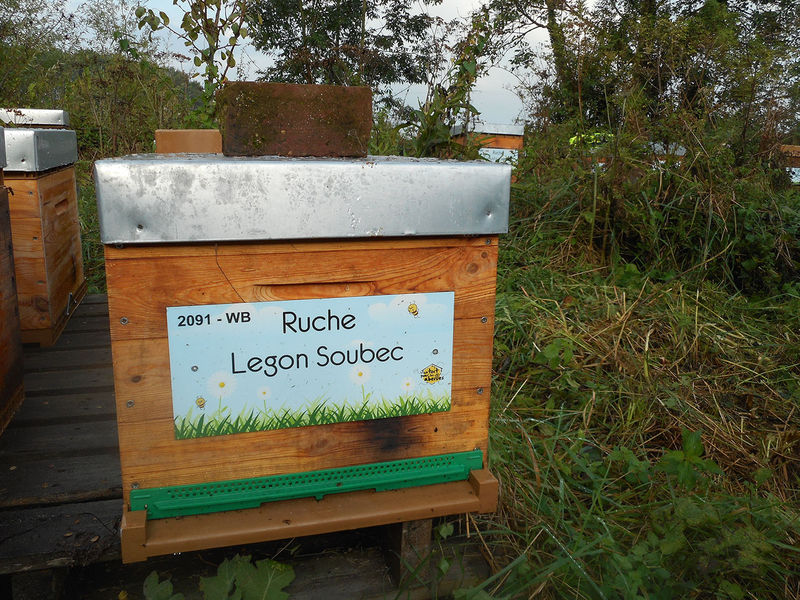 La ruche Legon Soubec